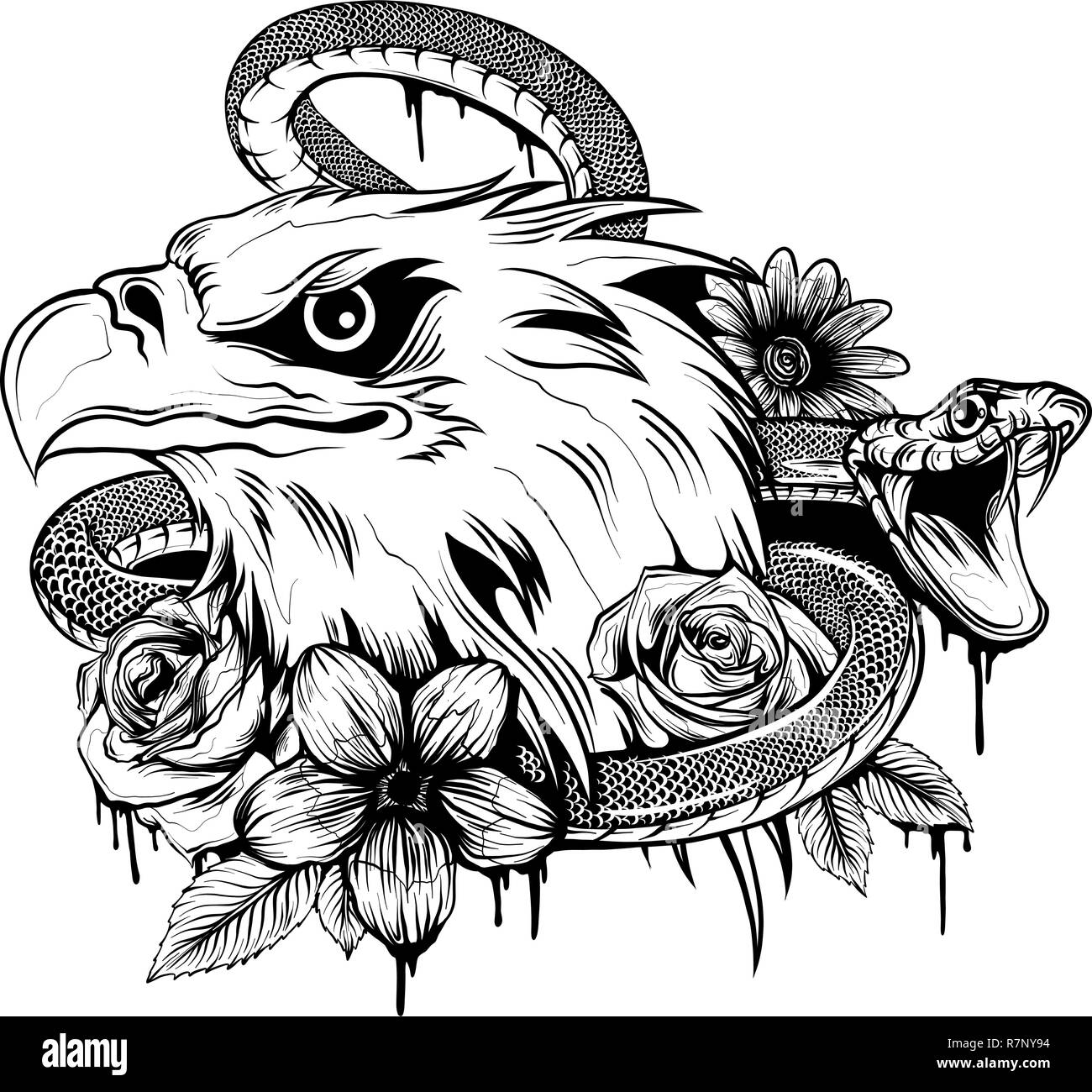 Illustrazione vettoriale di eagle lotta con snake Illustrazione Vettoriale