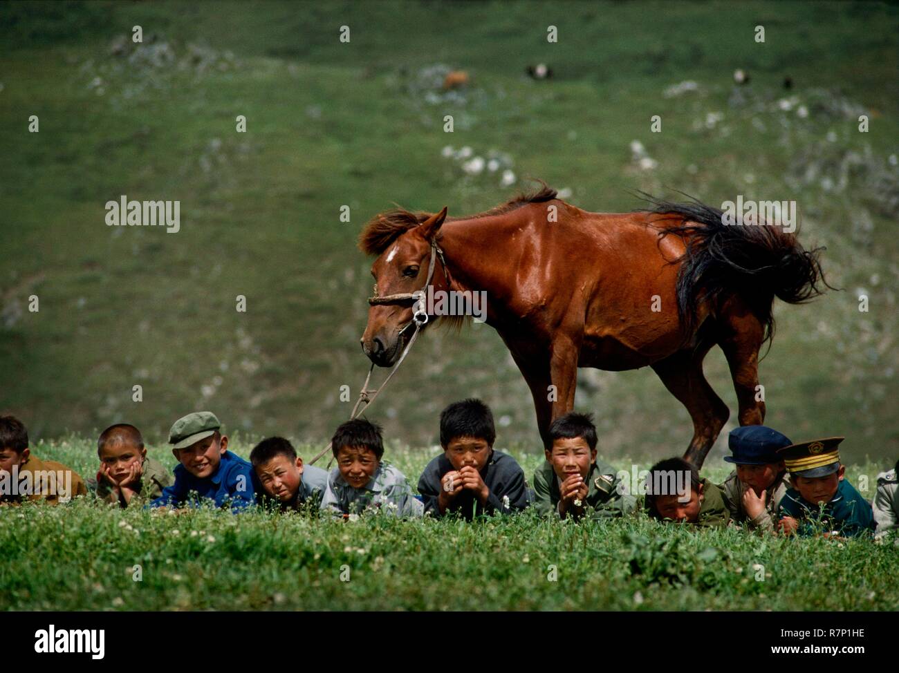 Cina, Xinjiang Provincia Autonoma, 1994 sulle alture del Monte Altai, un gruppo di ragazzi sono in posa l'erba nella parte anteriore di un cavallo Foto Stock