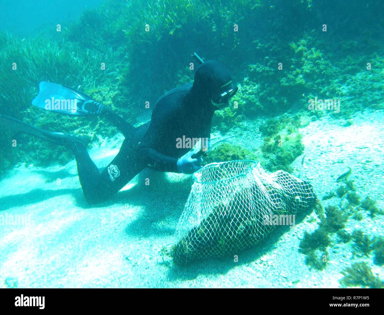 Francia, Var, Six Fours Les Plages, arcipelago Embiez, Embiez isola, Franck Ravez, ricci di mare pescatore in piena immersioni subacquee Foto Stock