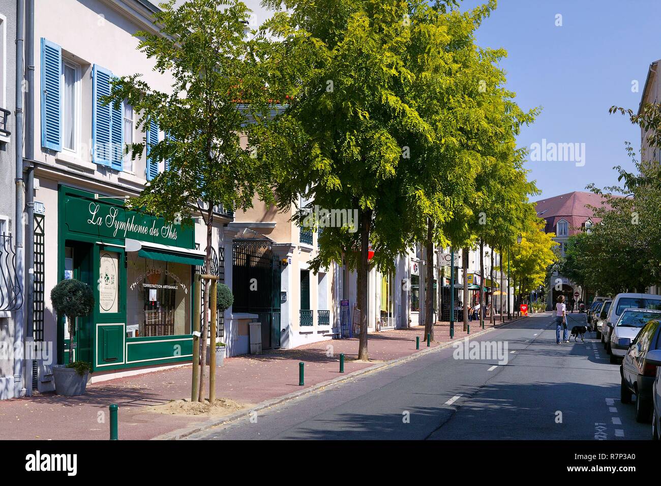 Francia, Hauts de Seine, Rueil Malmaison, Boulevard du Marechal Joffre Foto Stock