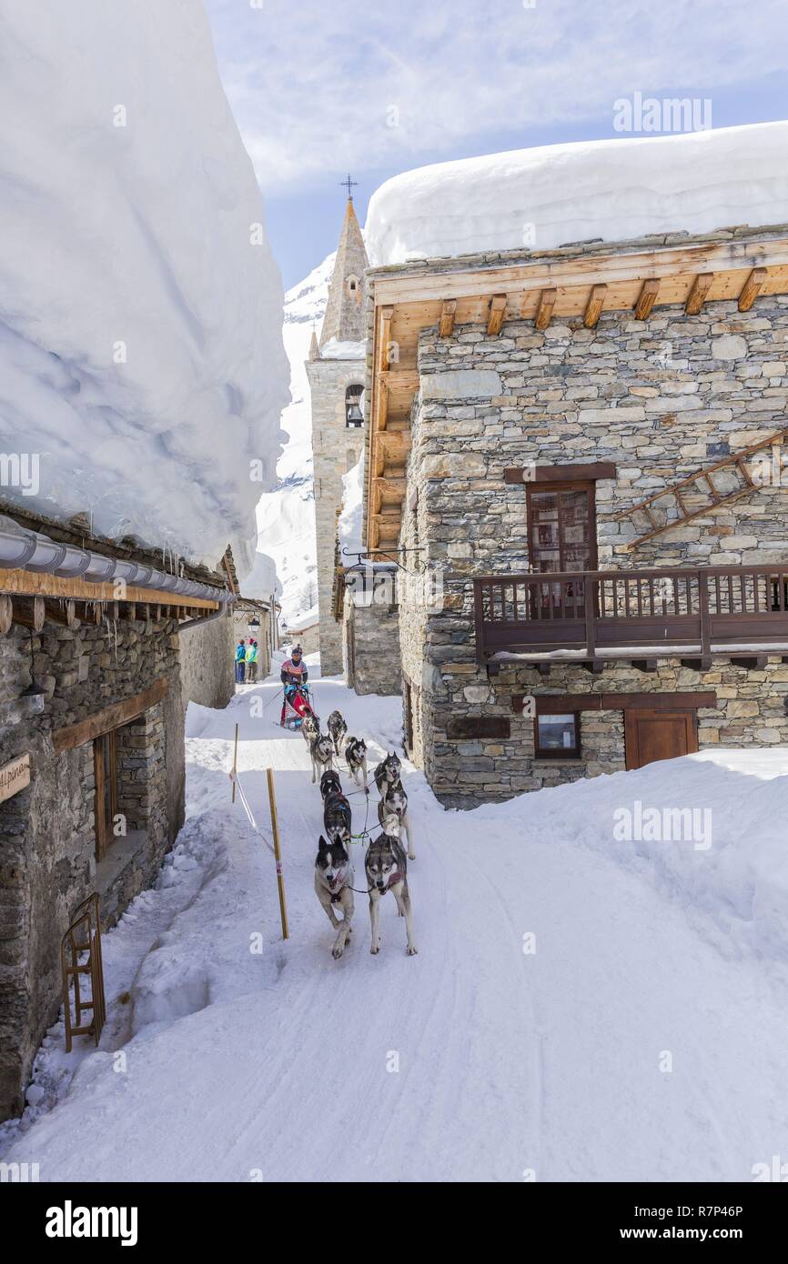 Francia, Savoie, Parco Nazionale della Vanoise, Bonneval sur Arc, etichettati Les Plus Beaux Villages de France (i più bei villaggi di Francia), il villaggio più alto della Haute Maurienne (1850 m), la razza di cani di sled il Lekkarod Foto Stock