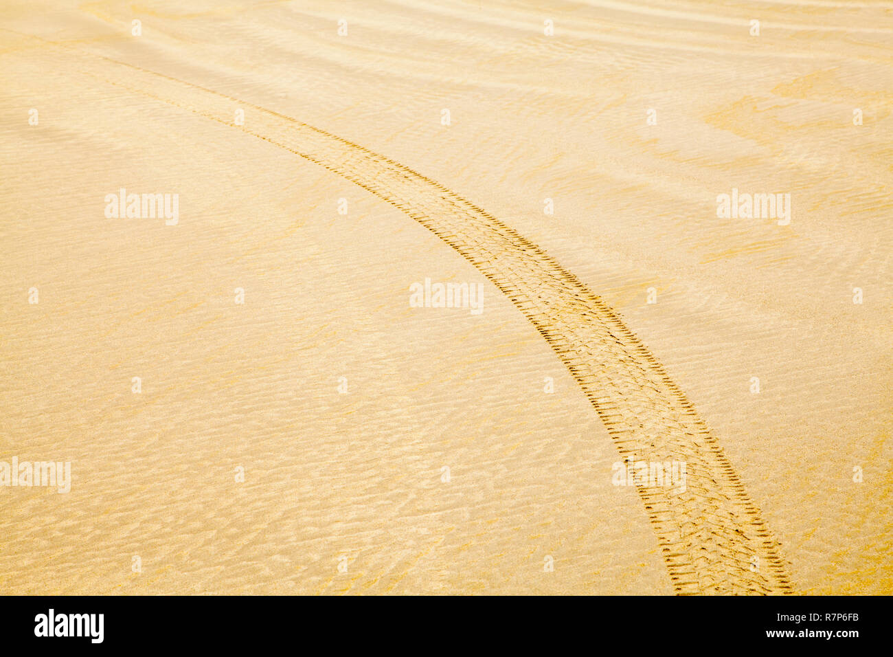 Spiaggia di sabbia con il modello di pneumatico Marca sfondo. Foto Stock