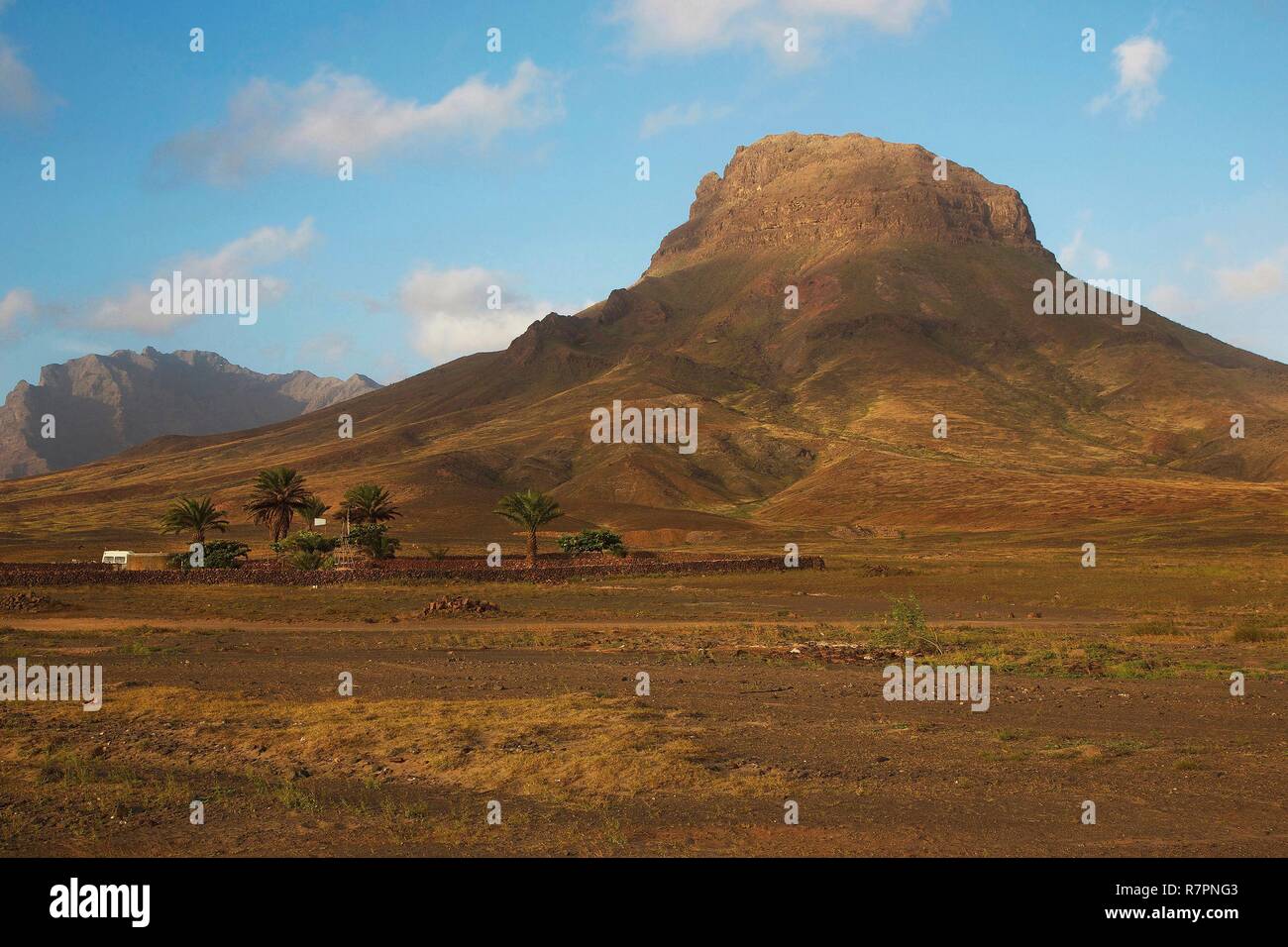 Capo Verde, Sao Vicente, Calhau, Orchard nel mezzo di un paesaggio del deserto, al piede di un antichissimo vulcano Foto Stock