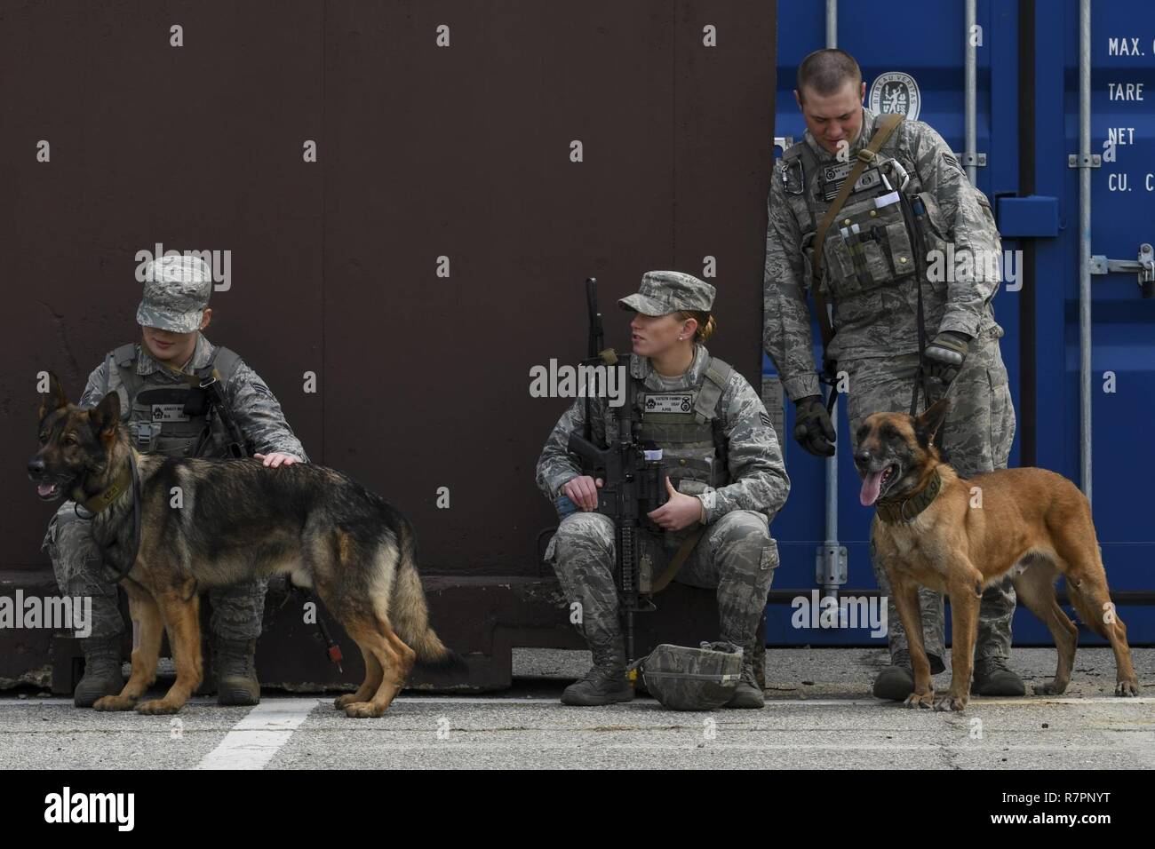 Lavoro militare di cani da 51a forze di sicurezza Squadron prendere una pausa con i loro partner canino durante una formazione sul campo esercizio a Osan Air Base, Repubblica di Corea, 23 marzo 2017. La formazione sul campo esercizio era parte della 51FS Combat Readiness, corso di dieci giorni del programma che copre di base e avanzate operazioni di emergenza e di base-specifica tattica di difesa, compreso l'uso della missione orientata postura di protezione ingranaggio. Foto Stock
