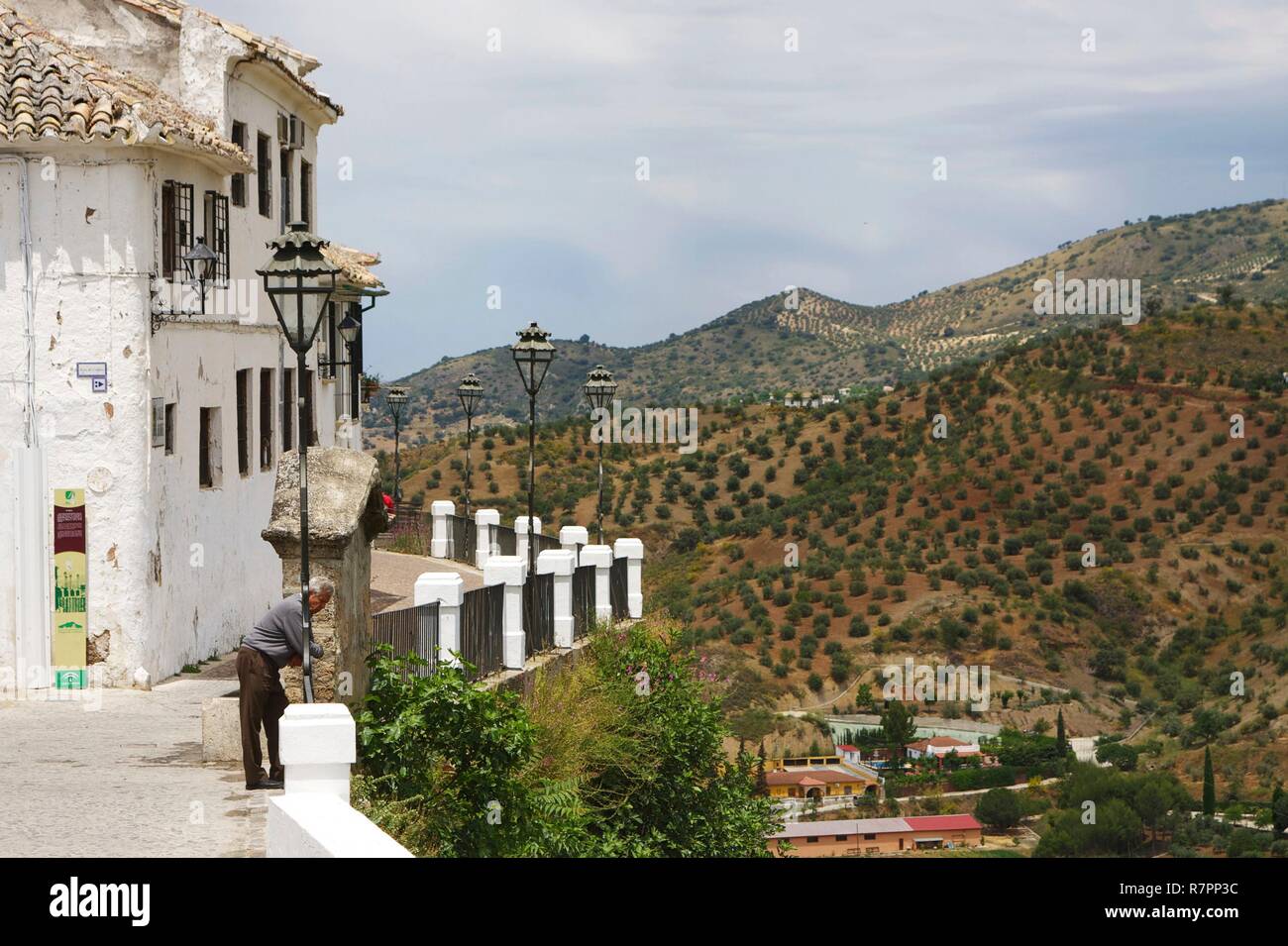 Spagna, Andalusia, Priego de Cordoba, balcone del adarve aprire la campagna punteggiata da oliveti Foto Stock