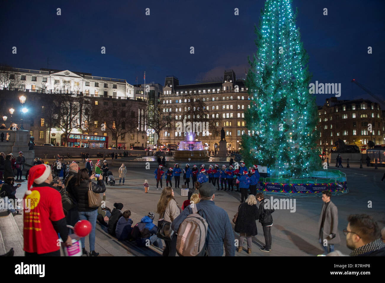 Trafalgar Square, Londra, Regno Unito. Dicembre 2018. Il tradizionale albero di Natale, donato dalla Norvegia, accesa fino in centro a Londra. Foto Stock