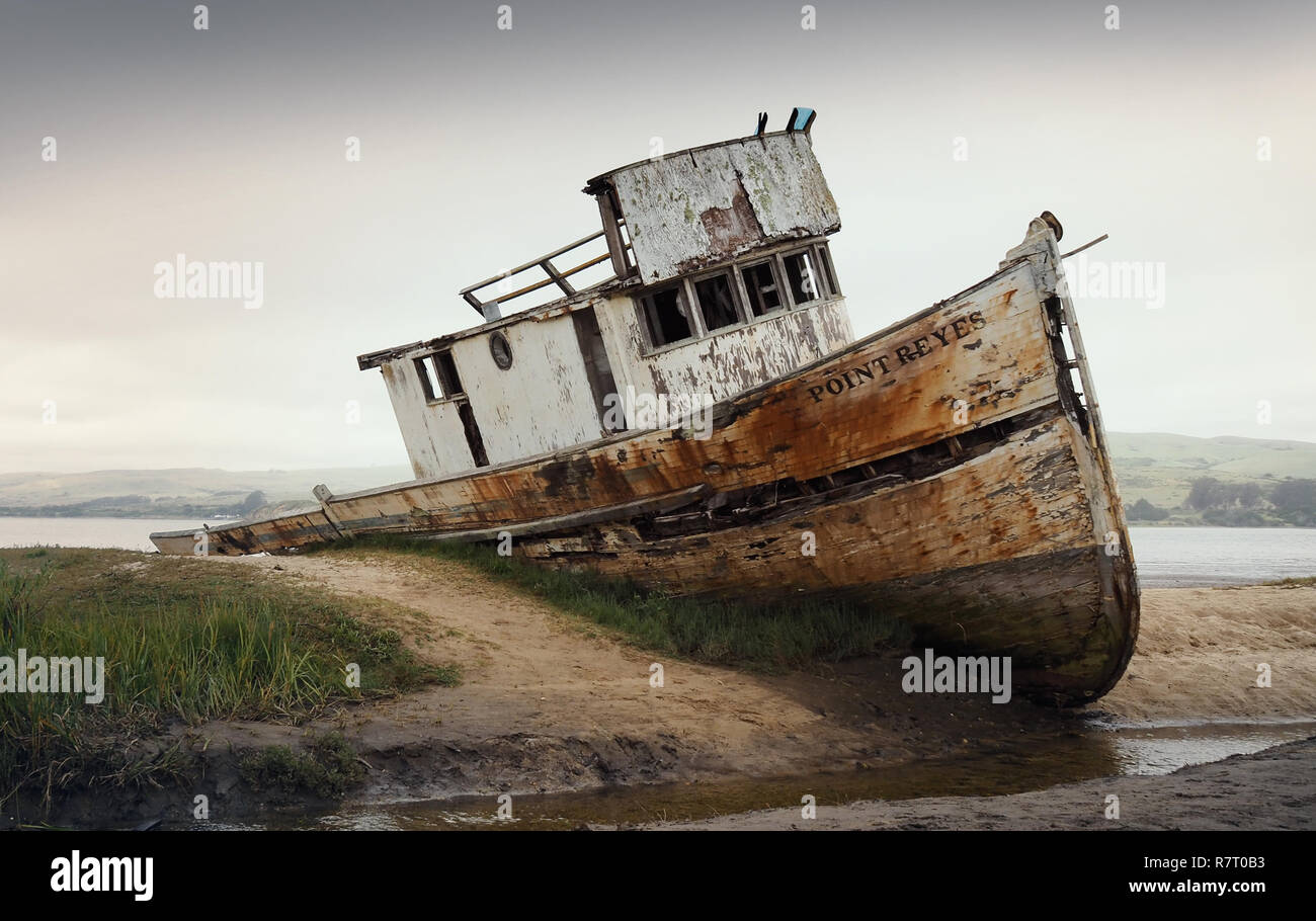 Shipwrack intrecciati nella sabbia del punto Reyes su un nebbioso pomeriggio Foto Stock