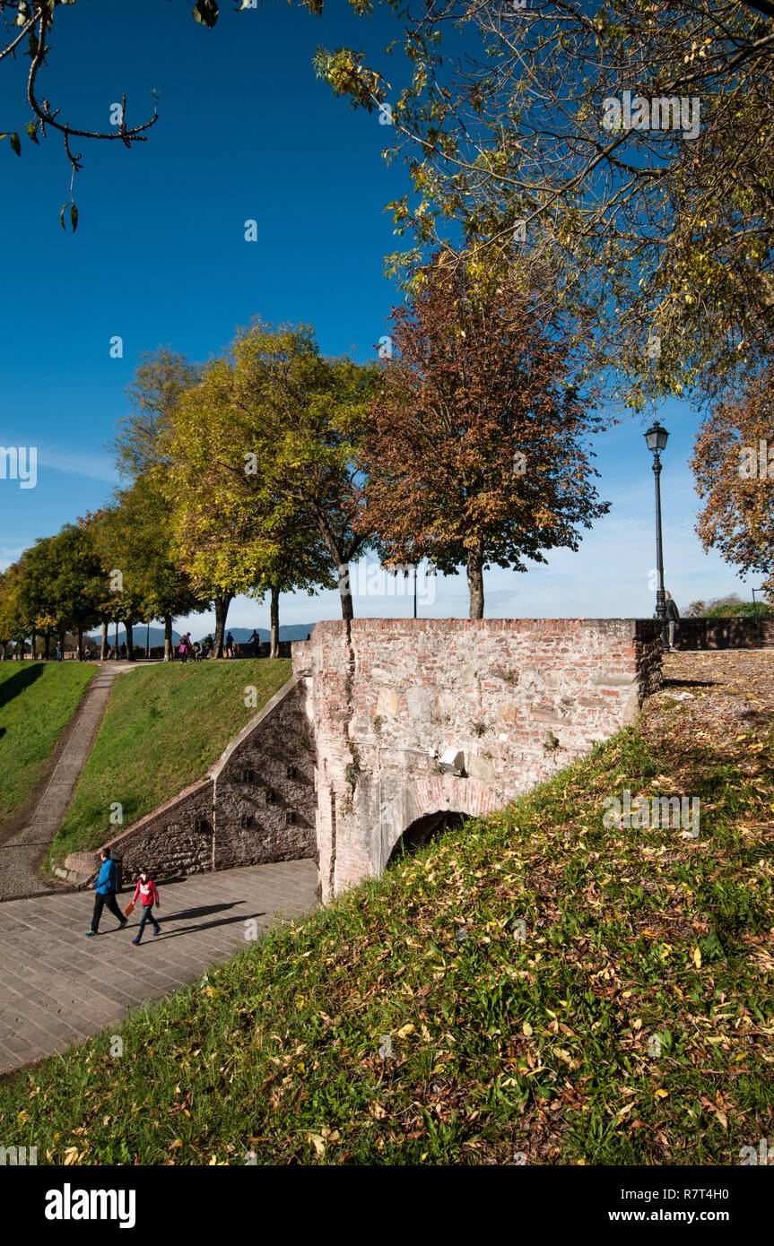 Lucca. Sulle mura della città Foto Stock