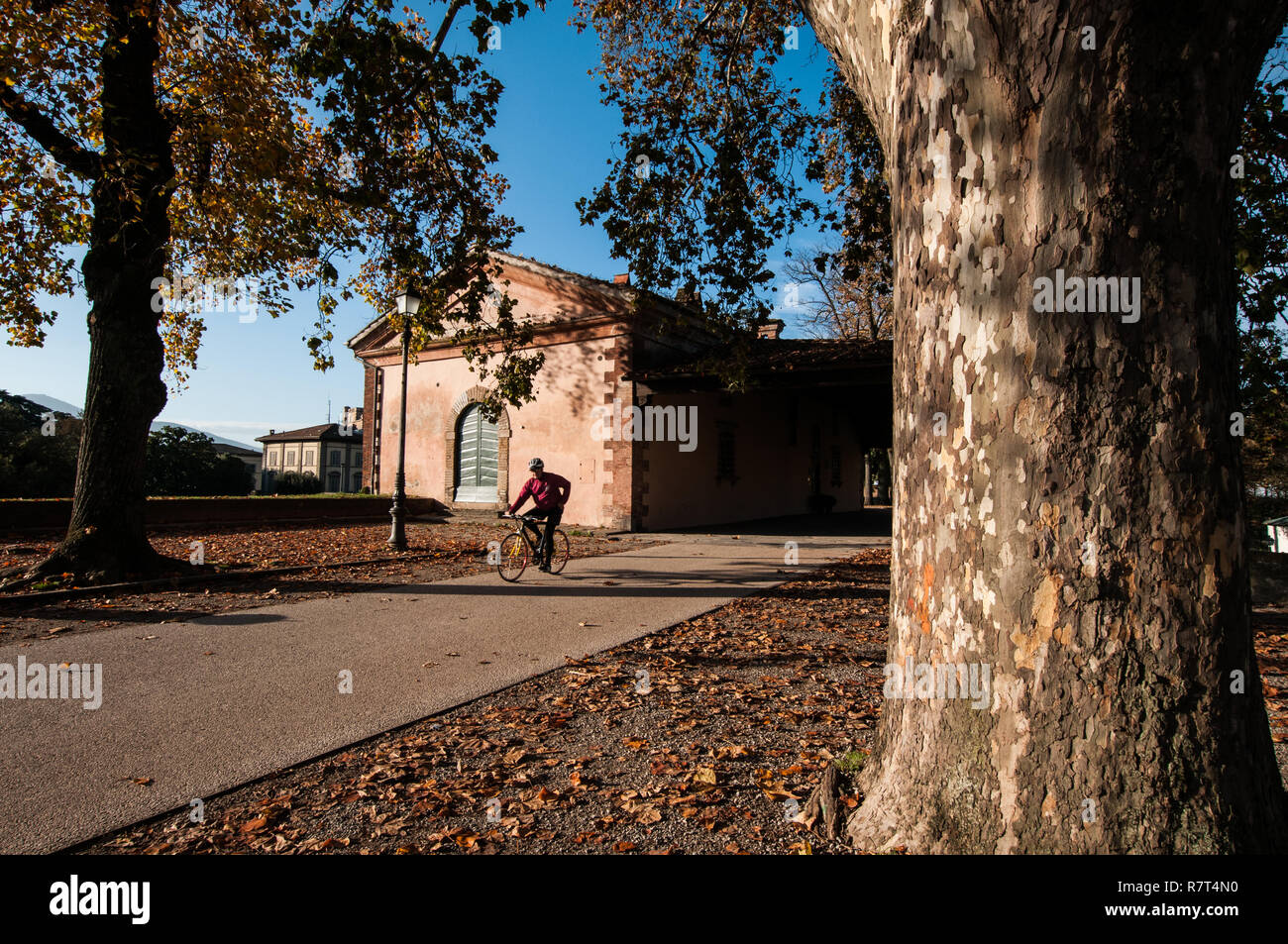 Lucca. Sulle mura della città Foto Stock