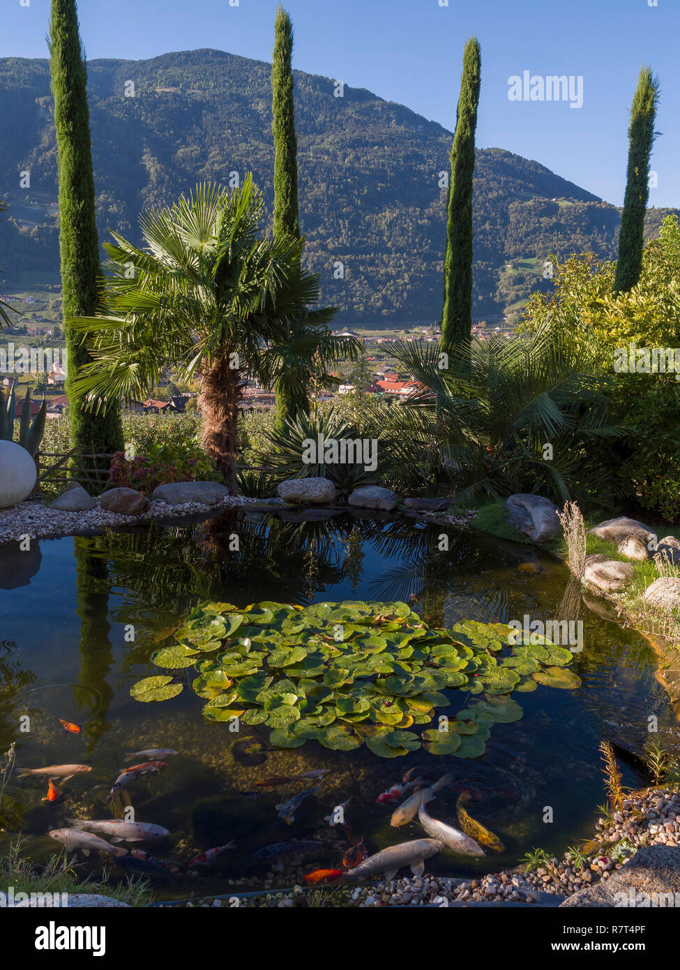 Giardino di Nutzhof, Lagundo vicino a Merano, Regione Sud Tyrol-Bolzano, Italia, Europa Foto Stock