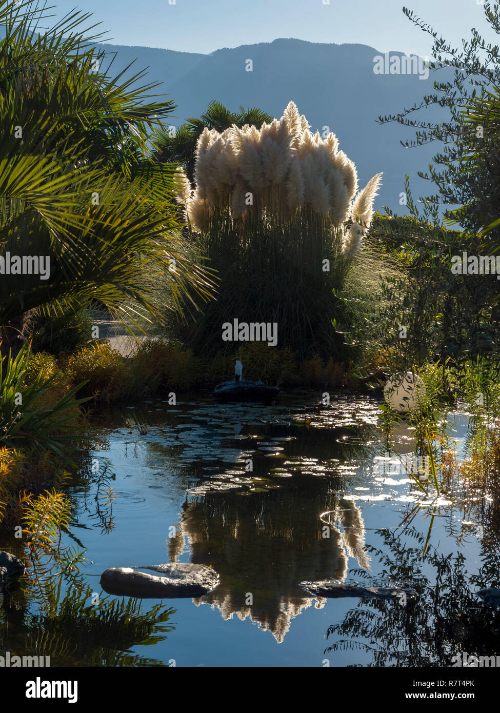 Giardino di Nutzhof, Lagundo vicino a Merano, Regione Sud Tyrol-Bolzano, Italia, Europa Foto Stock