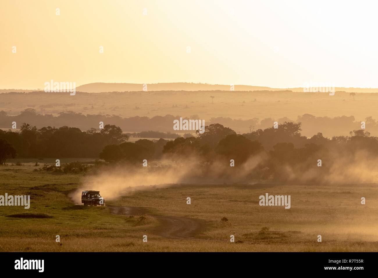 Kenya, Masai-Mara Game Reserve, vehicule nelle pianure nella stagione secca Foto Stock