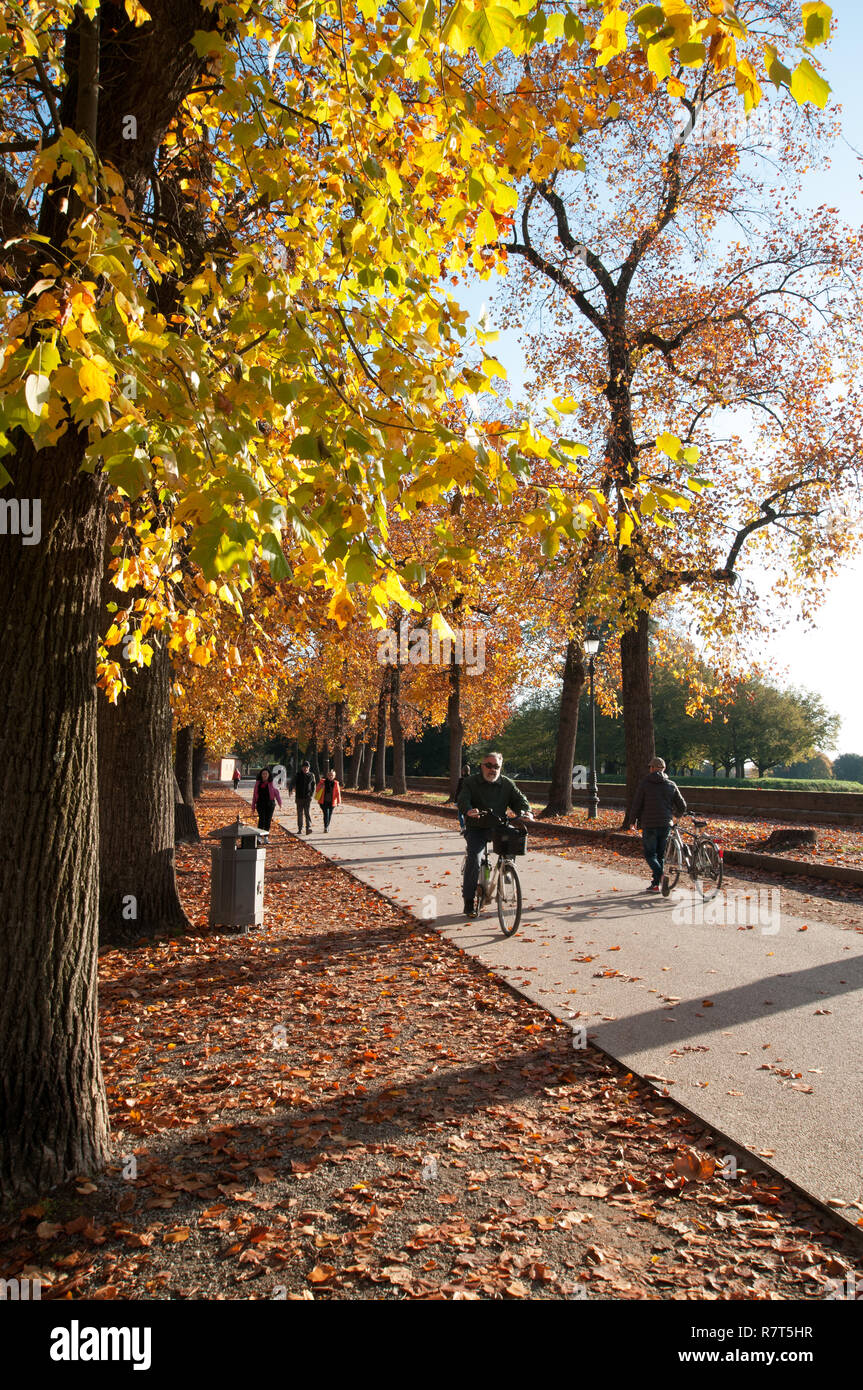 Lucca. Sulle mura della città Foto Stock