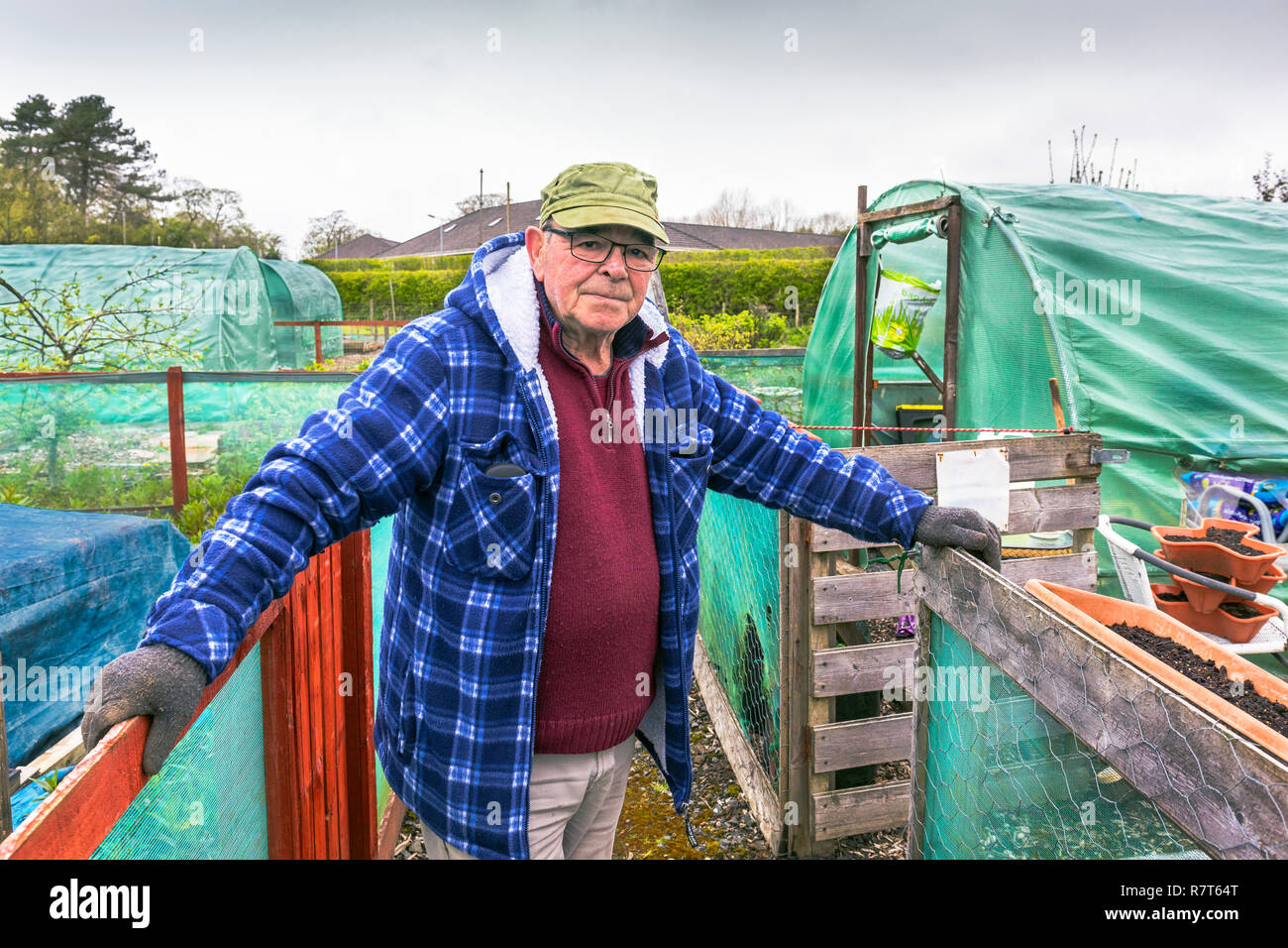 EDDIE CLAYTON, di 72 anni, pensionato lavoratore edile, da KIlwinning, plot 5. La lavorazione dei giardini per 4 anni. Foto Stock