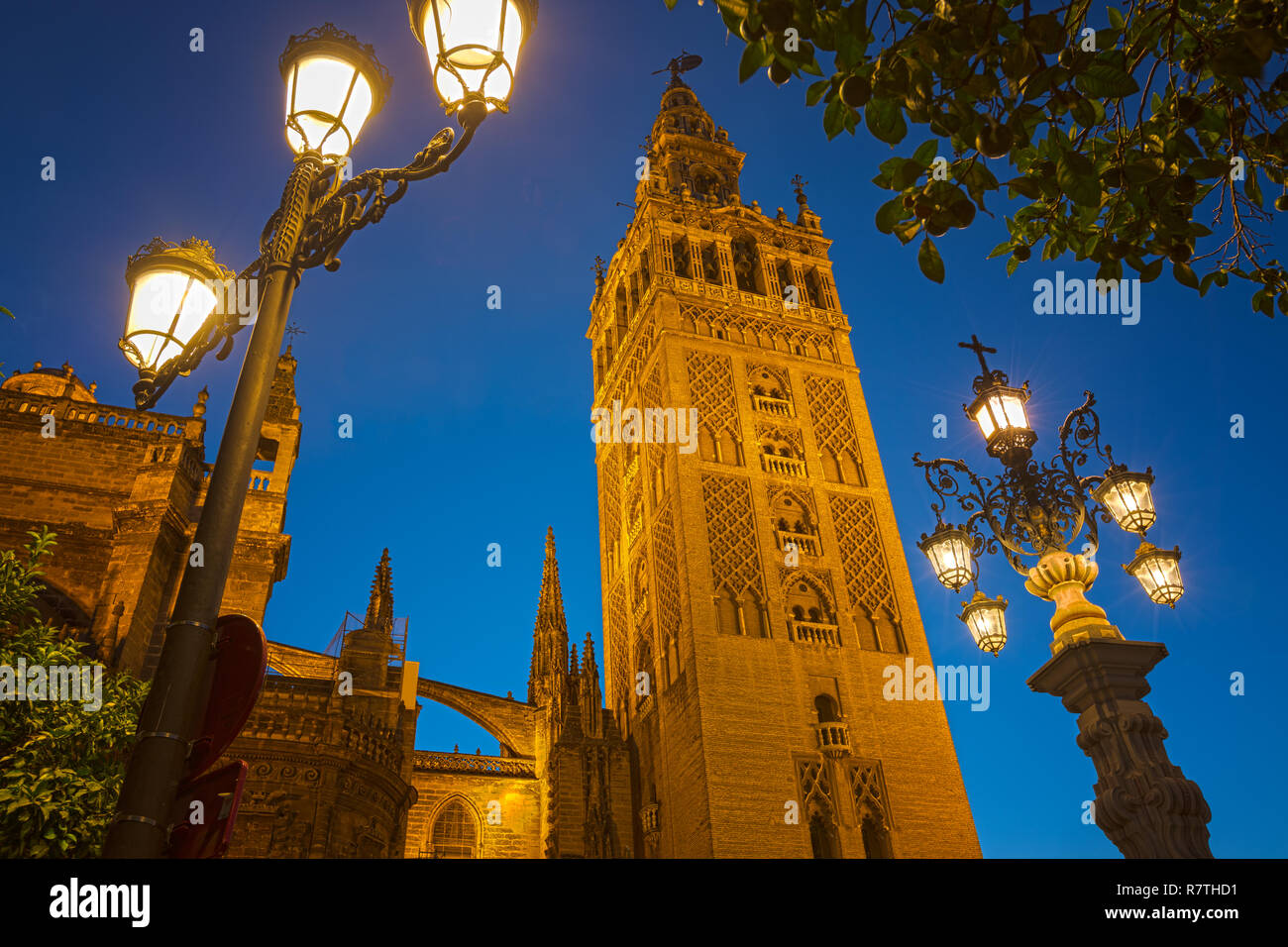 La cattedrale di Siviglia, Spagna, durante le ore di colore blu. Inquadratura dal basso, diverse luci di strada. Foto Stock