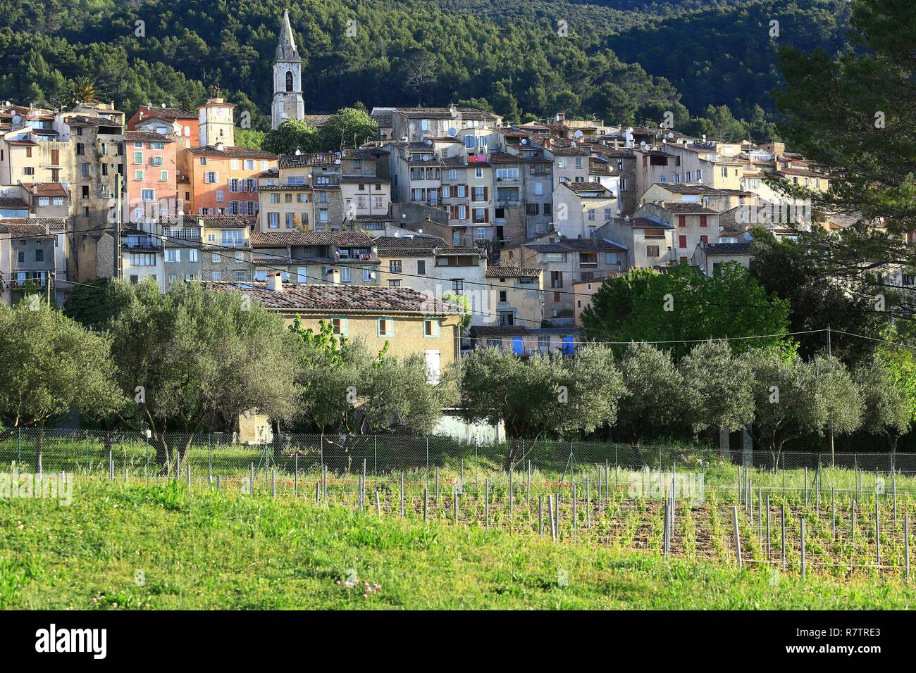 Francia, Var, Dracenie, Callas Foto Stock