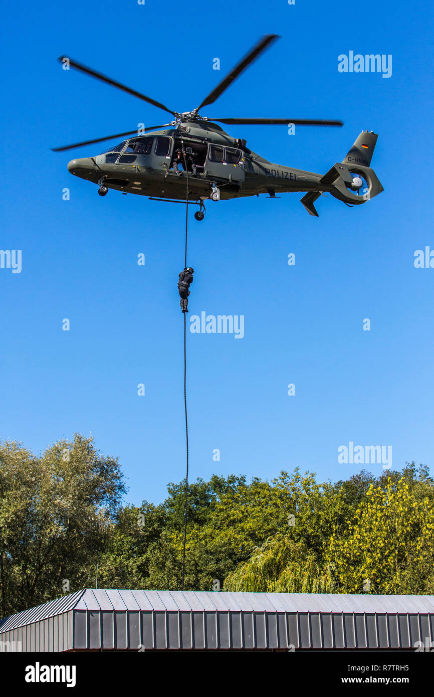 Speciali delle forze di polizia del NRW Polizia, SEK, un SEK-poliziotto scendendo da fast roping su una spessa corda da un Eurocopter EC 155 Foto Stock