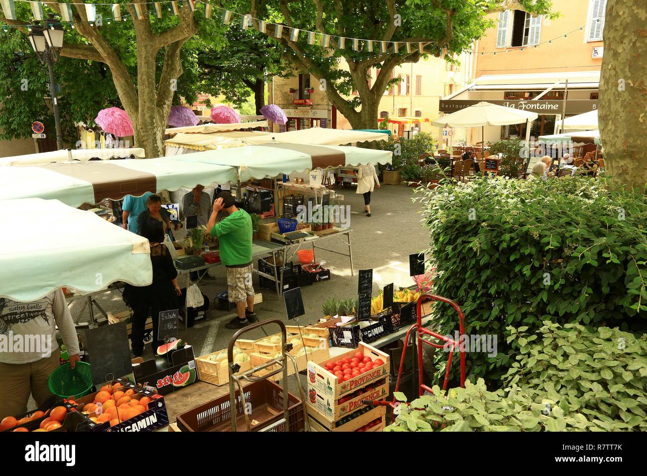 Francia, Var, Dracenie, Callas, place Georges Clemenceau, il mercato Foto Stock