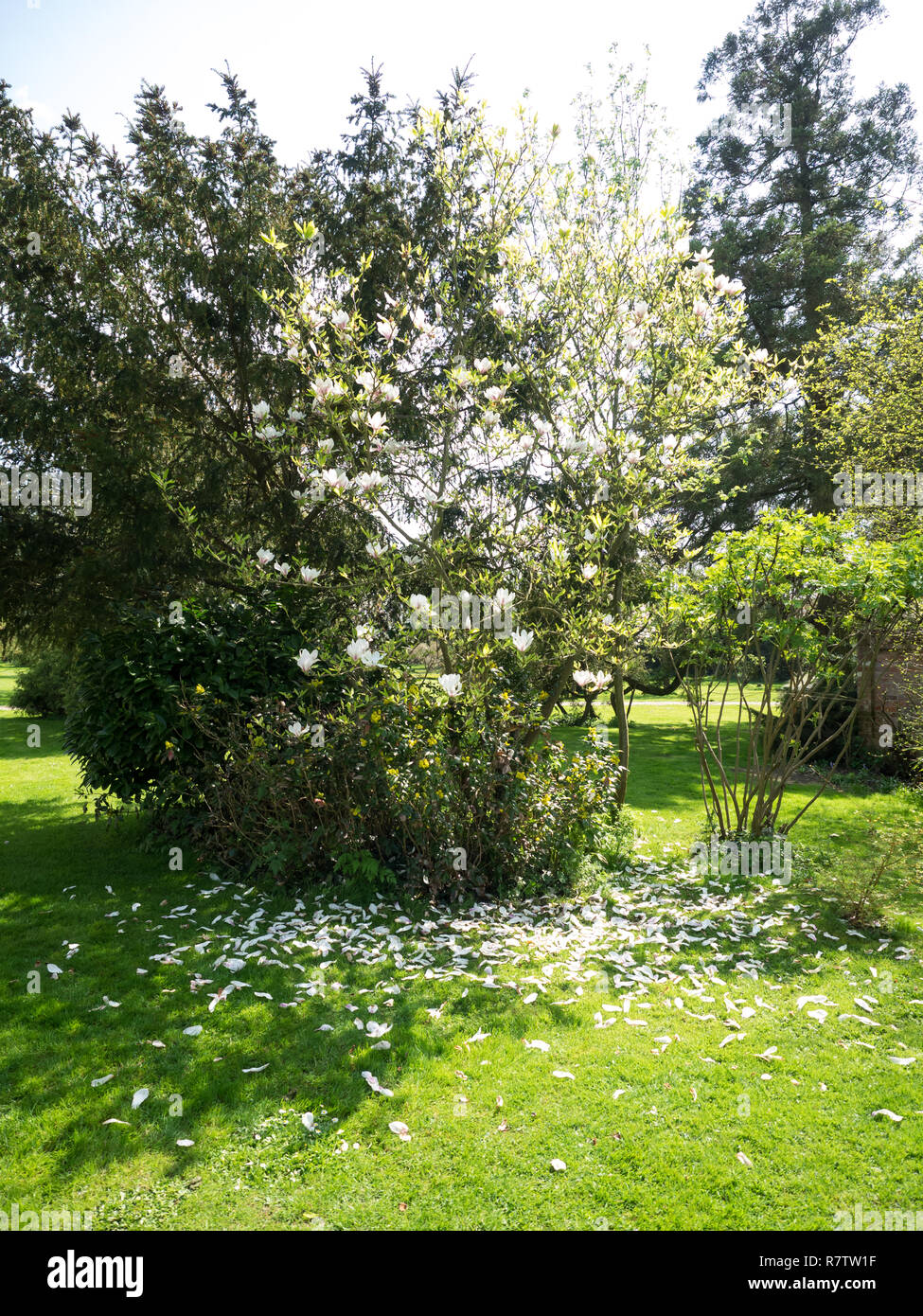 I giardini di Easton Lodge, Easton Lodge, poco Easton, Dunmow CM6 2BD Foto Stock