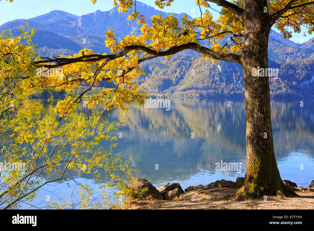 Alberi colorati sulla riva del lago di Kochel (Kochelsee) nella parte bavarese delle Alpi europee. Foto Stock