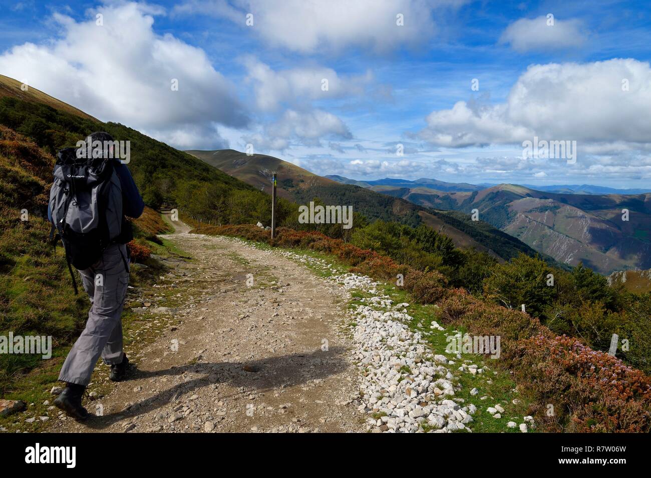 Spagna, Paese Basco e Navarra, Camino de Santiago (la strada di San Giacomo) tra Saint Jean Pied de Port e Roncisvalle al Bentarte Pass Foto Stock