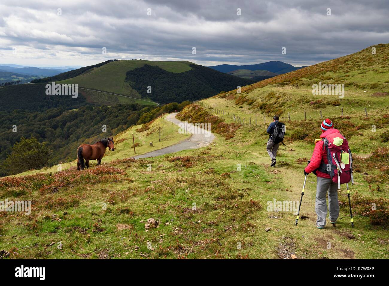 Spagna, Paese Basco e Navarra, pellegrini sul Camino de Santiago (la strada di San Giacomo) al di sopra di Roncisvalle Foto Stock