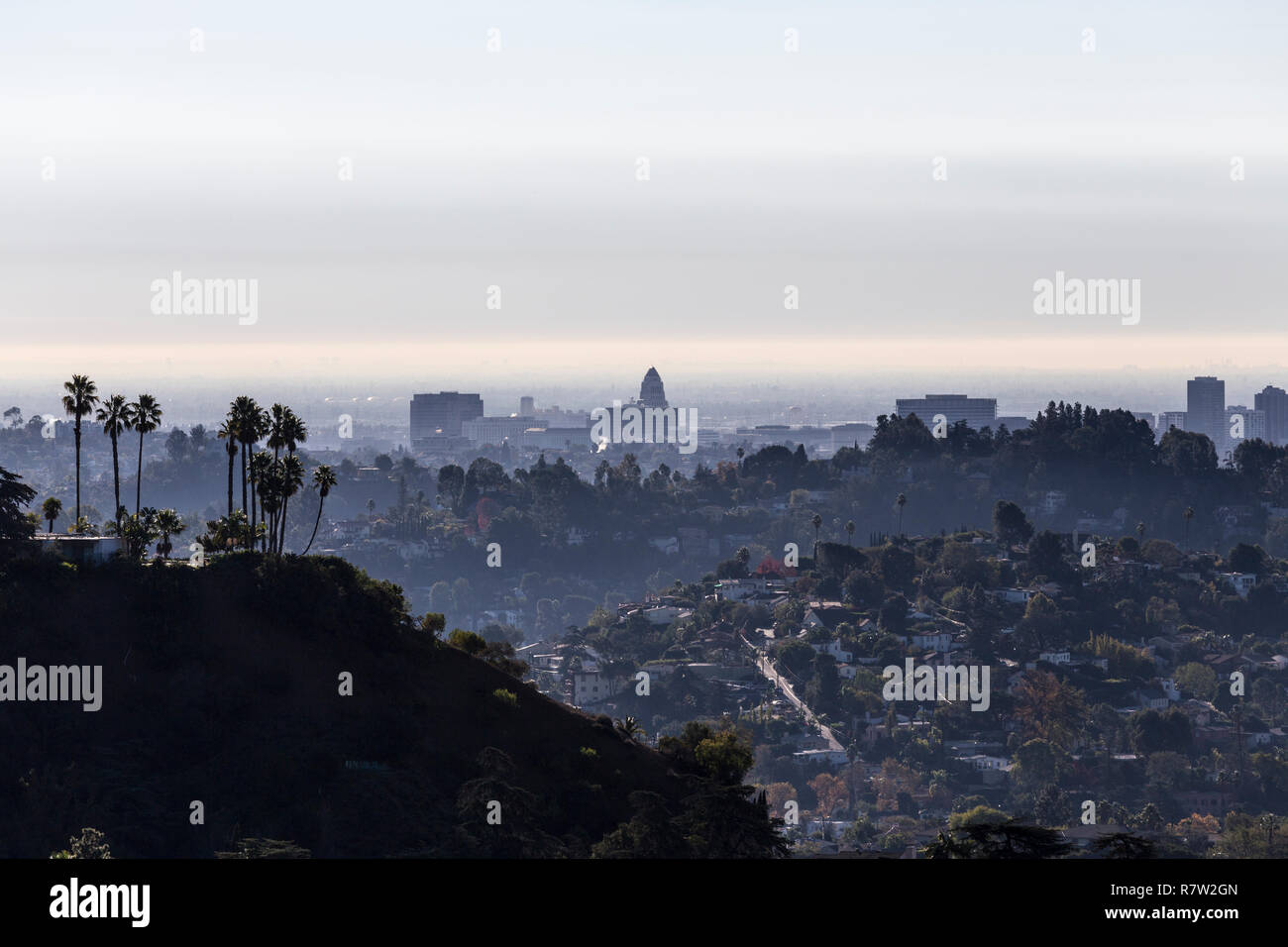Griffith Park View verso i pendii, palme e municipio nel centro civico area del centro cittadino di Los Angeles in California. Foto Stock