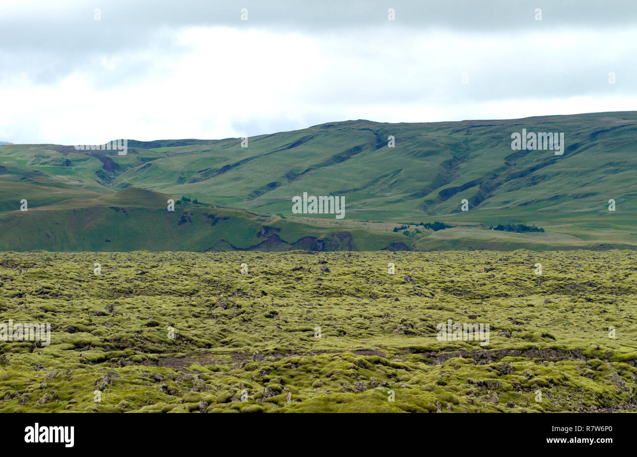 Ex fiume di lava solidificata ricoperta da uno strato di muschio verde in Islanda con verdi colline sullo sfondo Foto Stock