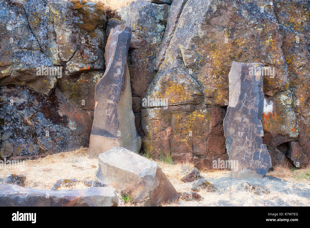 Antiche incisioni rupestri sono visibili lungo il Temani Pesh-wa(scritto su roccia) sentiero come un tour guidato. Quando il Dalles diga fu costruita una piccola selezione di pet Foto Stock