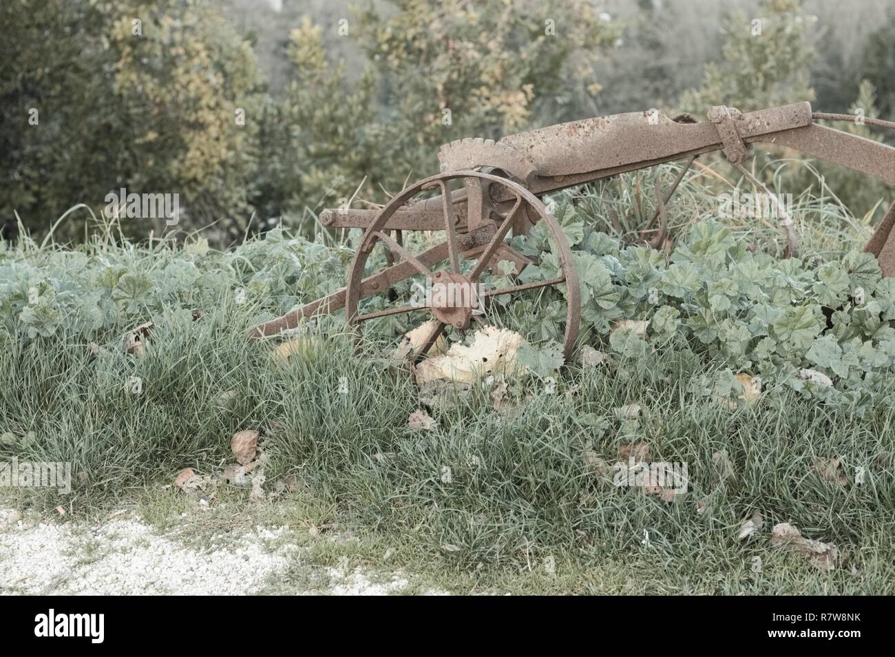 Ferro forgiato aratro sull'erba (Pesaro) Foto Stock