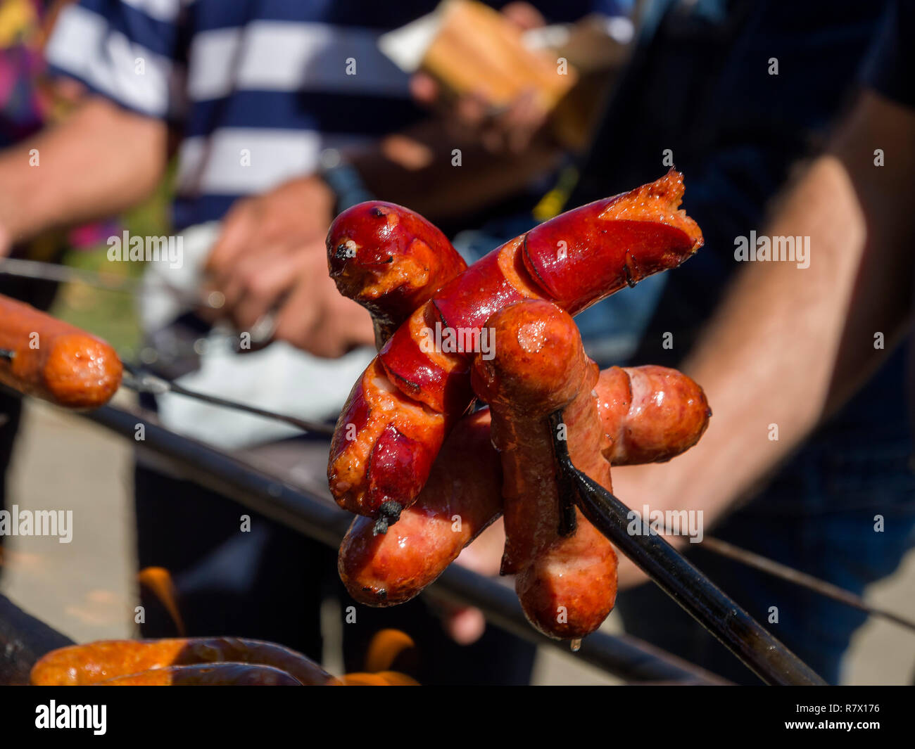 Grillen beim Traubenfest, Vrsac, Vojvojina, Serbien, Europa Foto Stock