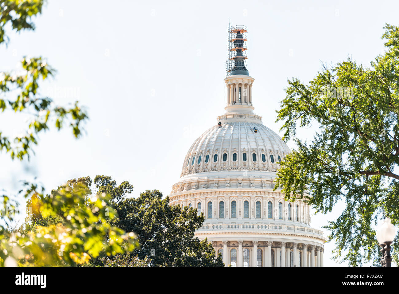 Il Congresso degli Stati Uniti la cupola closeup con lo sfondo del cielo in Washington DC, Stati Uniti d'America sul capitale Capitol Hill, colonne, pilastri, lavoratori edili pittura exterior Foto Stock