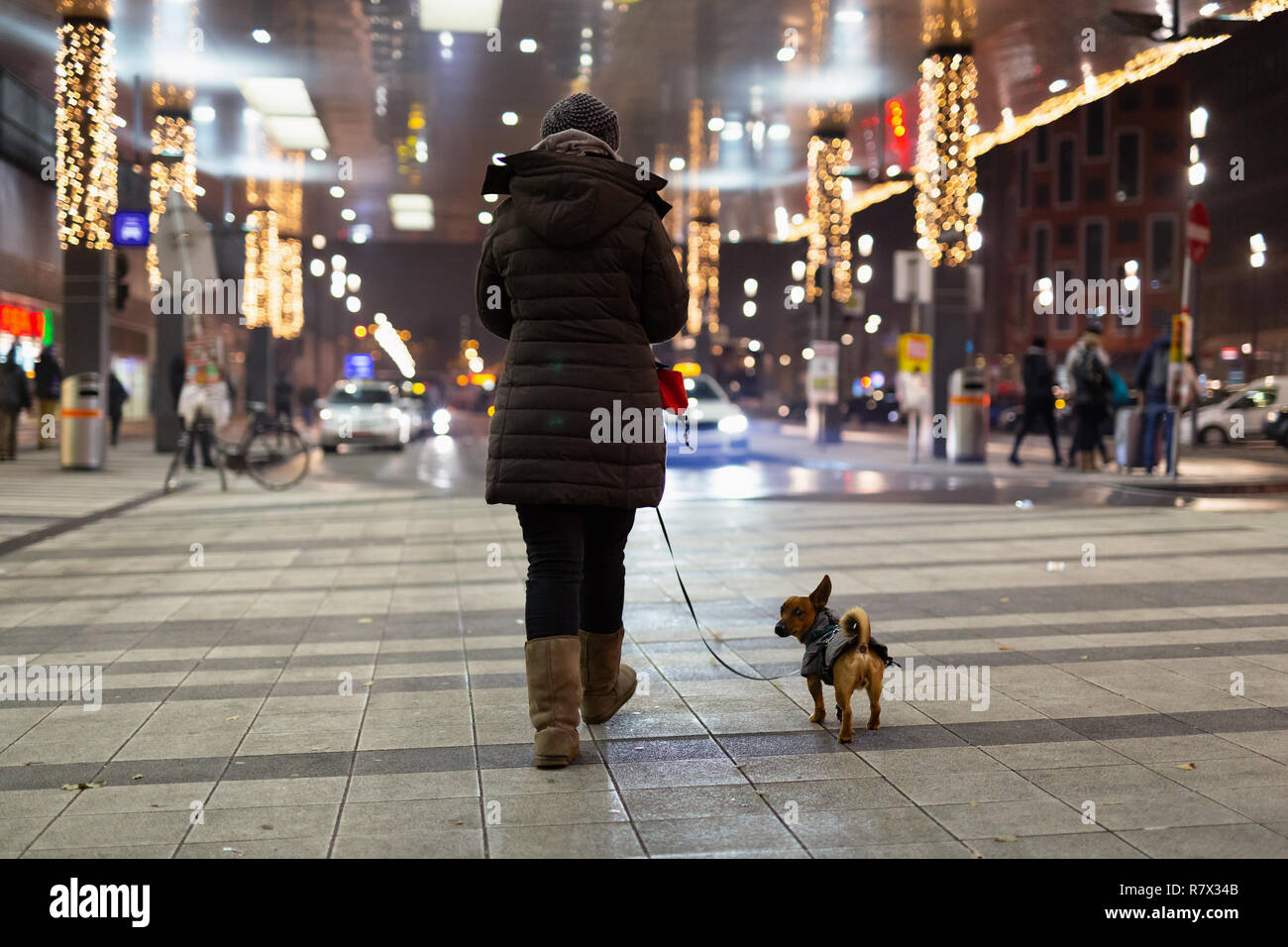 La donna e il suo cane a camminare nella fredda notte invernale attraverso la stazione centrale di Vienna. Foto Stock