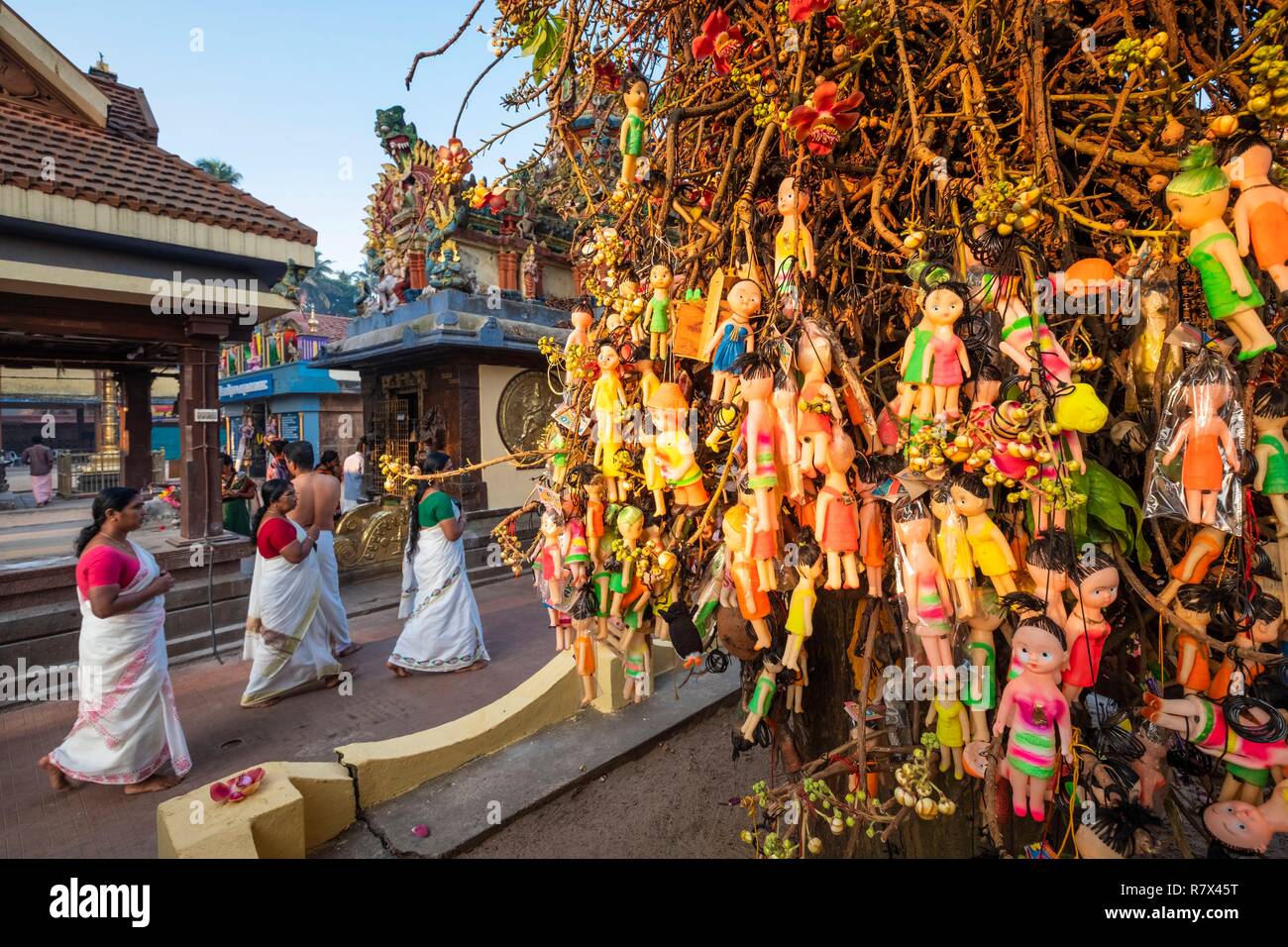 India, stato del Kerala, Varkala, Janardana Swami tempio è un 2000 anni tempio indù, buona fortuna tree Foto Stock India, stato del Kerala, Varkala, Janardana Swami tempio è un 2000 anni tempio indù, buona fortuna tree Foto Stock
