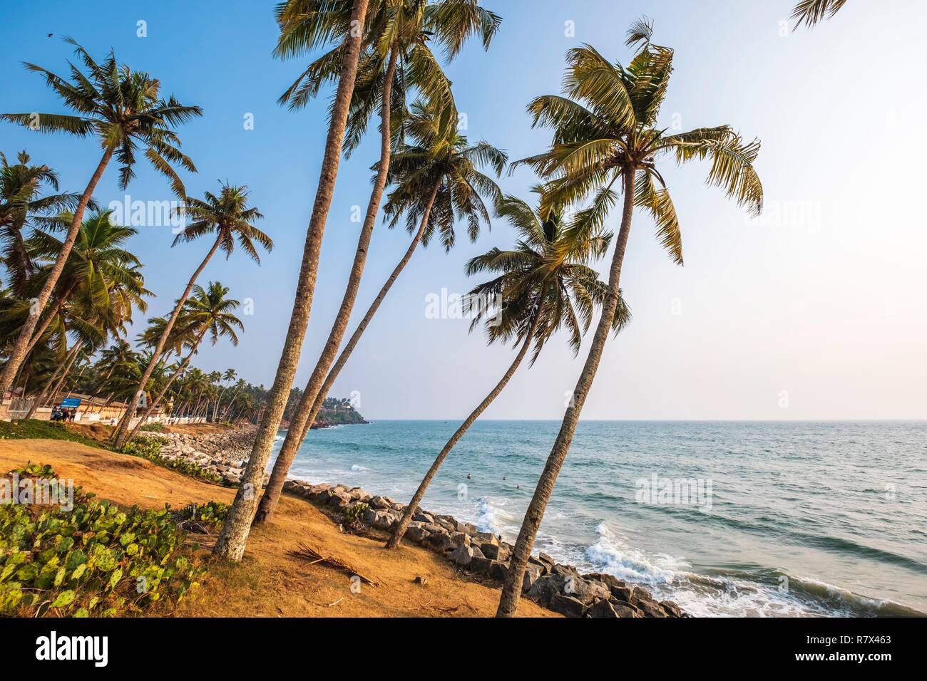 India, stato del Kerala, Varkala, la costa settentrionale Foto Stock