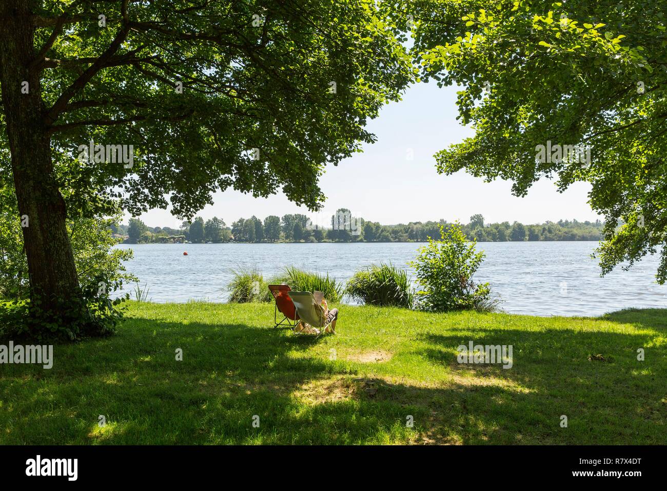 Francia, Landes, Soustons, stagno Foto Stock