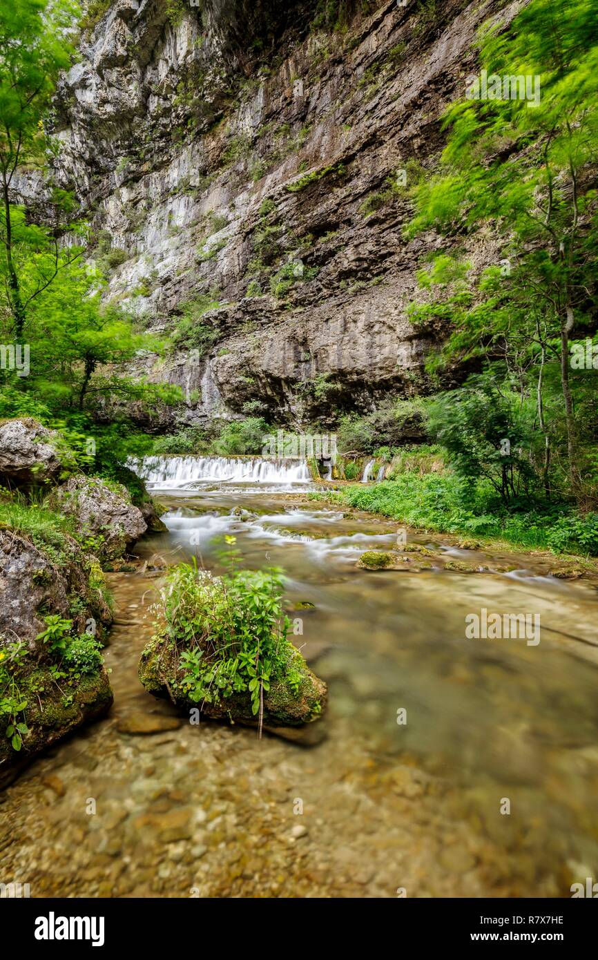 Francia, Drome, Vercors Parco naturale regionale della Gola Ombleze, La Fiume Gervanne Foto Stock