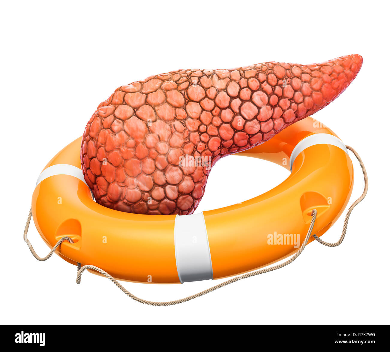 Pancreas umano con salvagente, proteggere il concetto. 3D rendering isolati su sfondo bianco Foto Stock