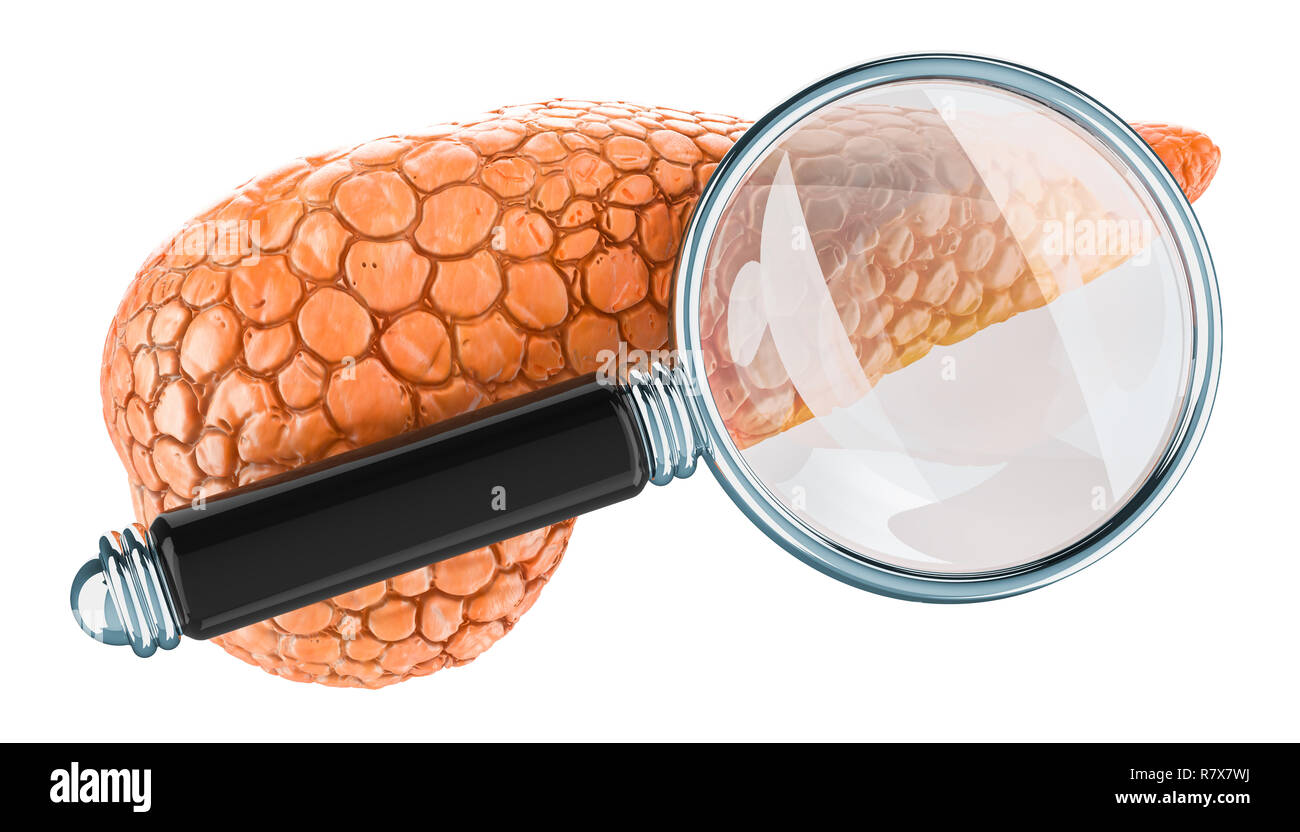 Pancreas umano con lente di ingrandimento. Ricerca e diagnosi del concetto pancreatica, rendering 3D isolati su sfondo bianco Foto Stock