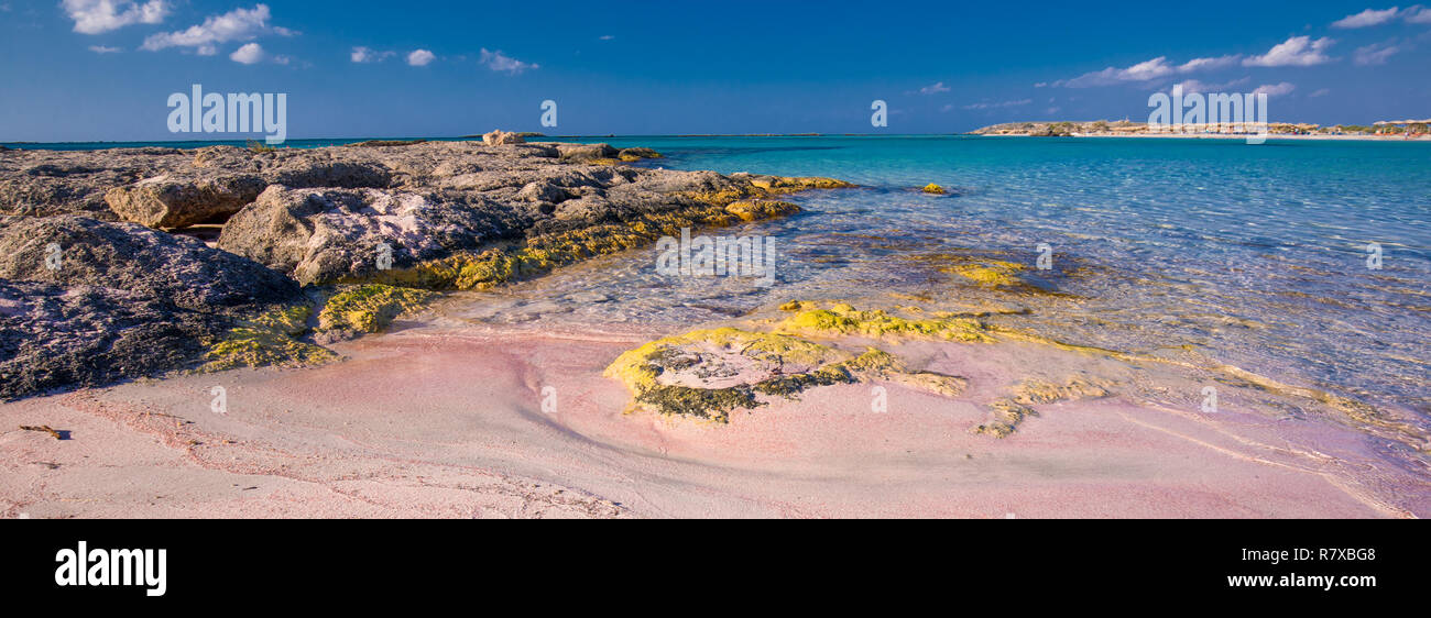 Spiaggia di Elafonissi a Creta isola di azzurro acqua chiara, la Grecia, l'Europa. Creta è la più grande e la più popolata delle isole greche. Foto Stock