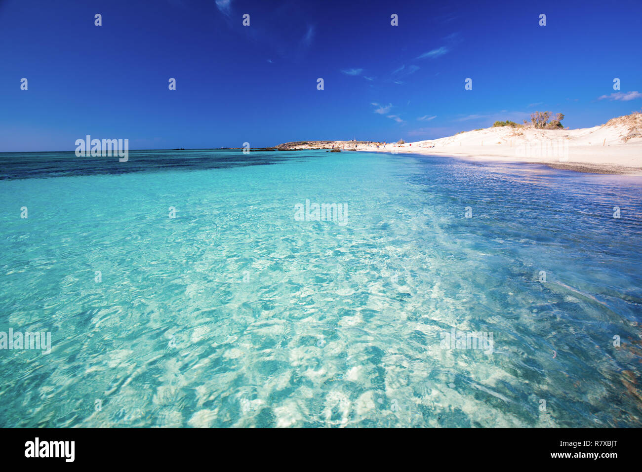 Spiaggia di Elafonissi a Creta isola di azzurro acqua chiara, la Grecia, l'Europa. Creta è la più grande e la più popolata delle isole greche. Foto Stock