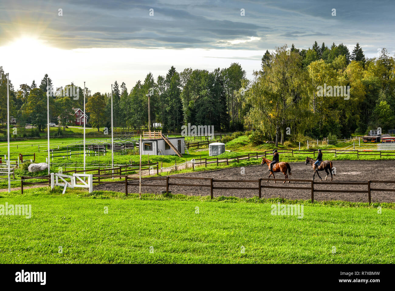 Due femmina equestrians cavalcare cavalli purosangue in un allevamento di cavalli nel tardo pomeriggio presso la città di Sipoo Finlandia Foto Stock