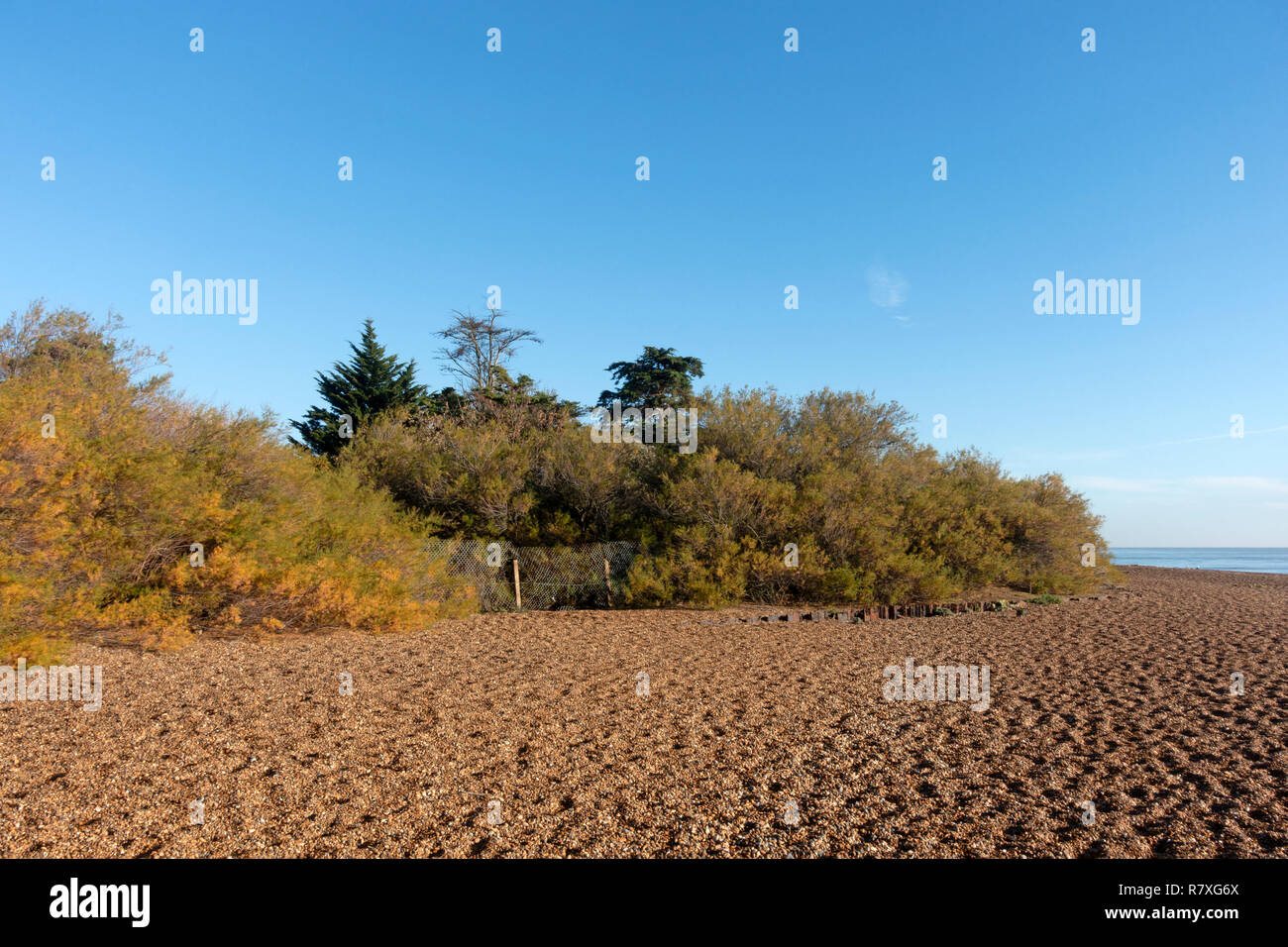 Ex proprietà MOD, Bawdsey traghetto, Suffolk, Inghilterra. Foto Stock