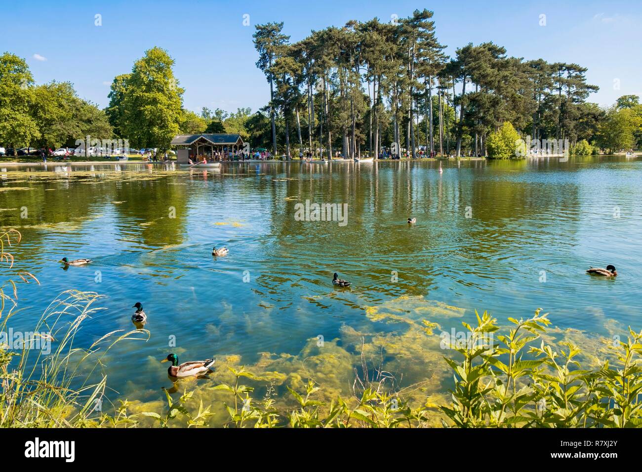 Francia, Parigi, il Bois de Boulogne, Lago Inferiore Foto Stock