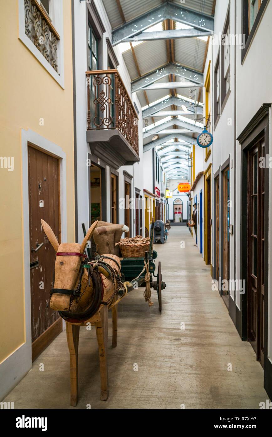 Portogallo Azzorre, isola Sao Miguel, Capelas, Oficina-Museu M.J. Melo, museo etnografico nella casa di un collezionista di vita dell'isola e memorabilia, interno Foto Stock