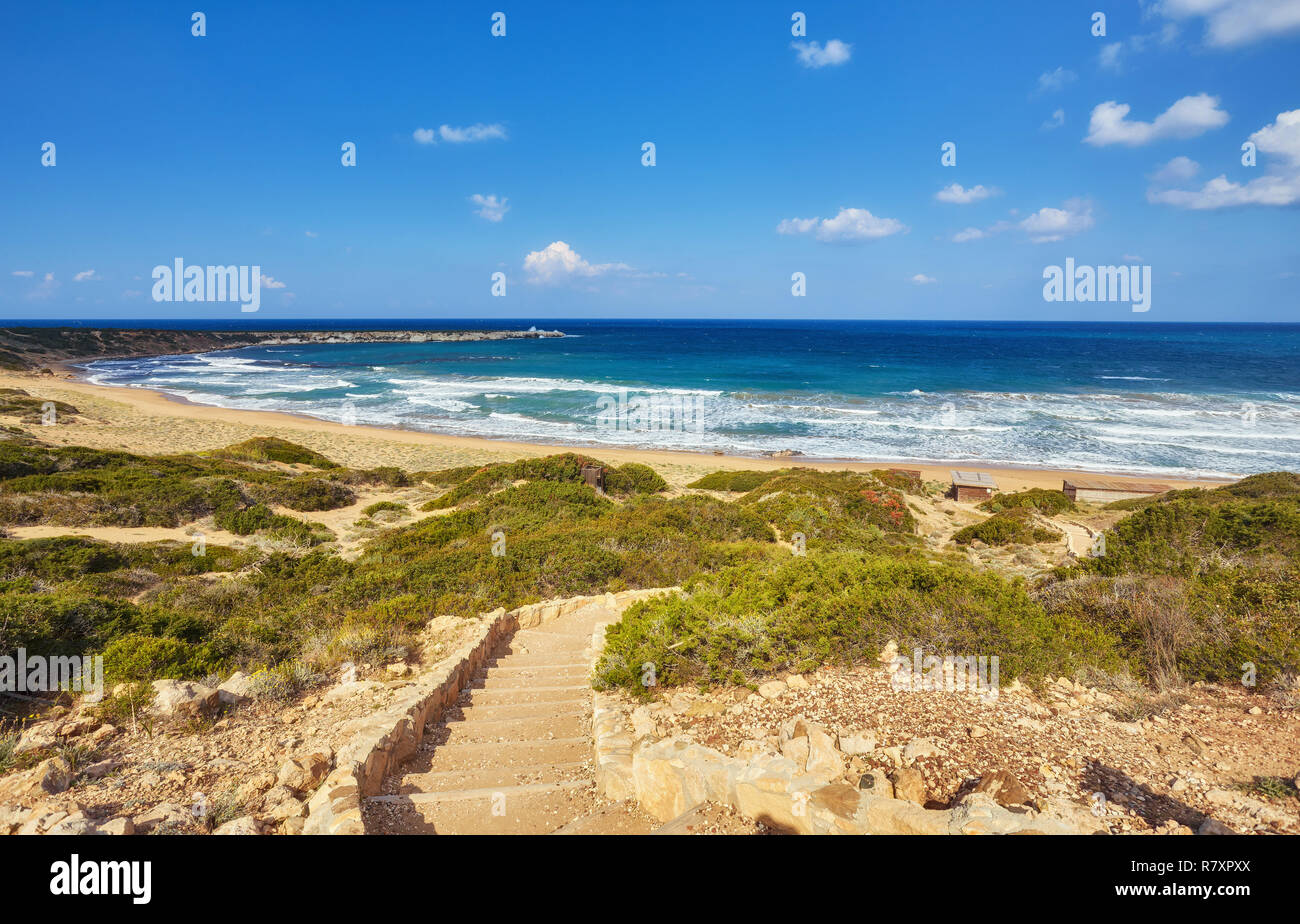Bellissima spiaggia selvaggia con turchesi acque cristalline e onde. Lara Beach, Cipro. Foto Stock