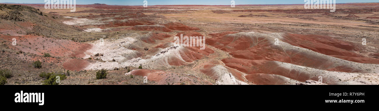 Deserto Dipinto è parte del Parco Nazionale della Foresta Pietrificata in Navajo e contee di Apache in Arizona nord-orientale. Il Chinle rende i colori Foto Stock