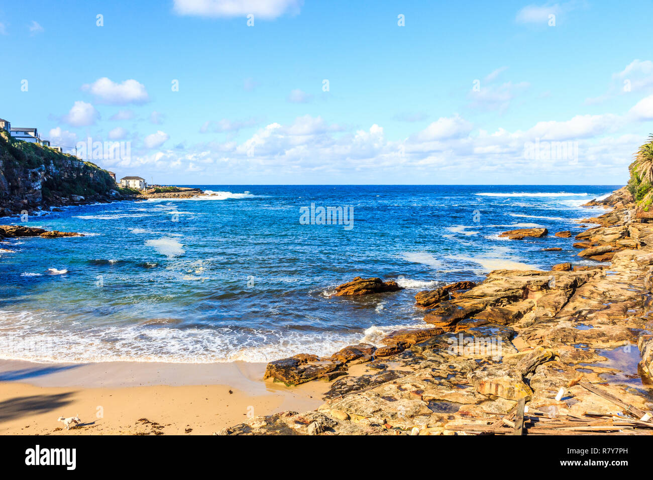 Guardando al mare su una bella giornata a Gordons Bay, Nuovo Galles del Sud, Australia Foto Stock