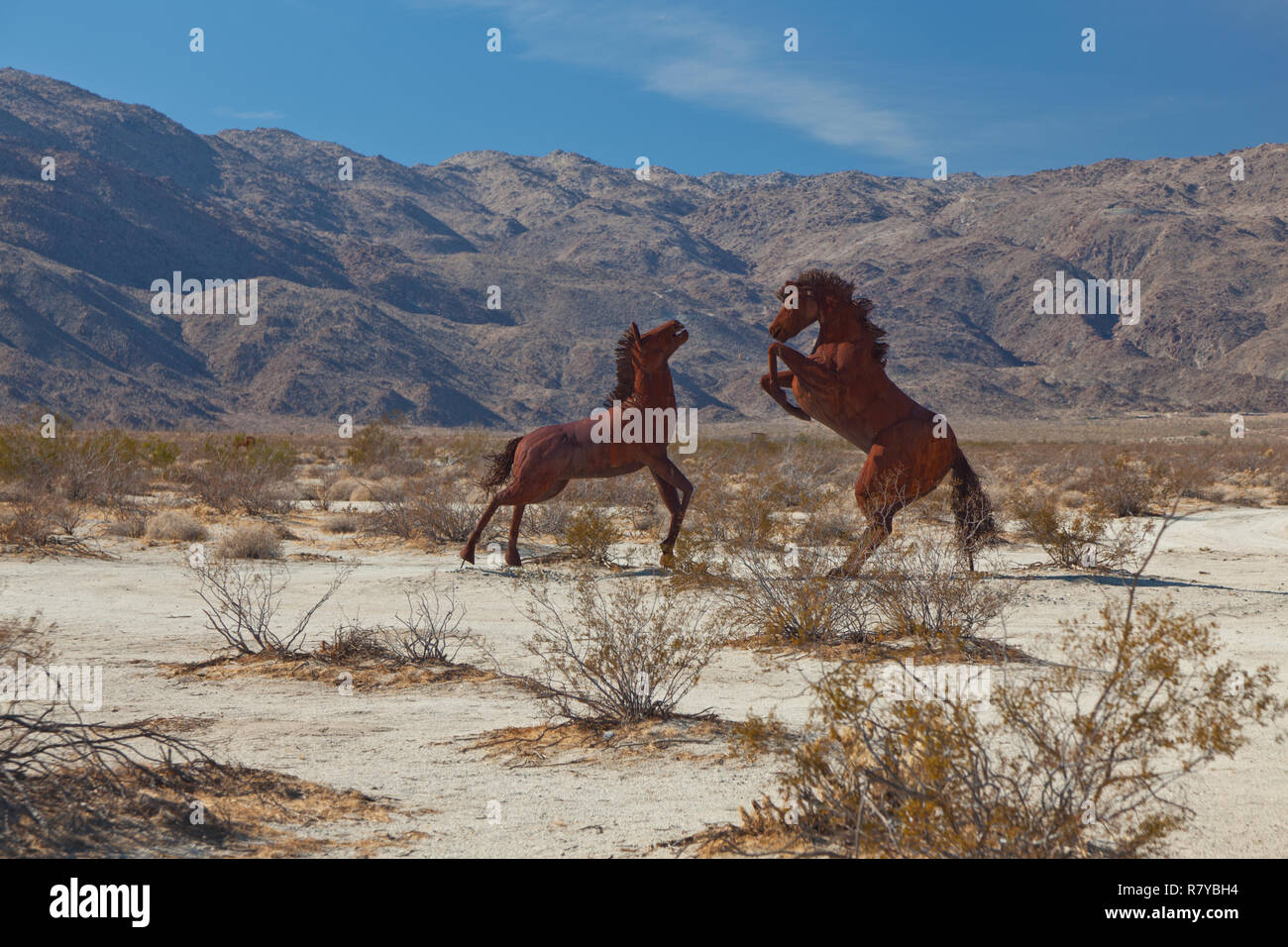 Cavallo di metallo sculture di Ricardo Breceda in prati Galleta in Borrego Springs, CA Foto Stock