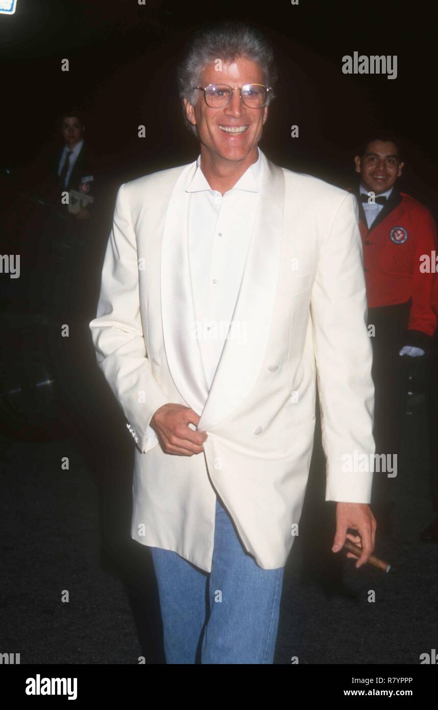 SANTA MONICA, CA - Aprile 8: Attore Ted Danson assiste evento su 8 Aprile 1993 presso il Museo del Volo a Santa Monica, California. Foto di Barry re/Alamy Stock Photo Foto Stock